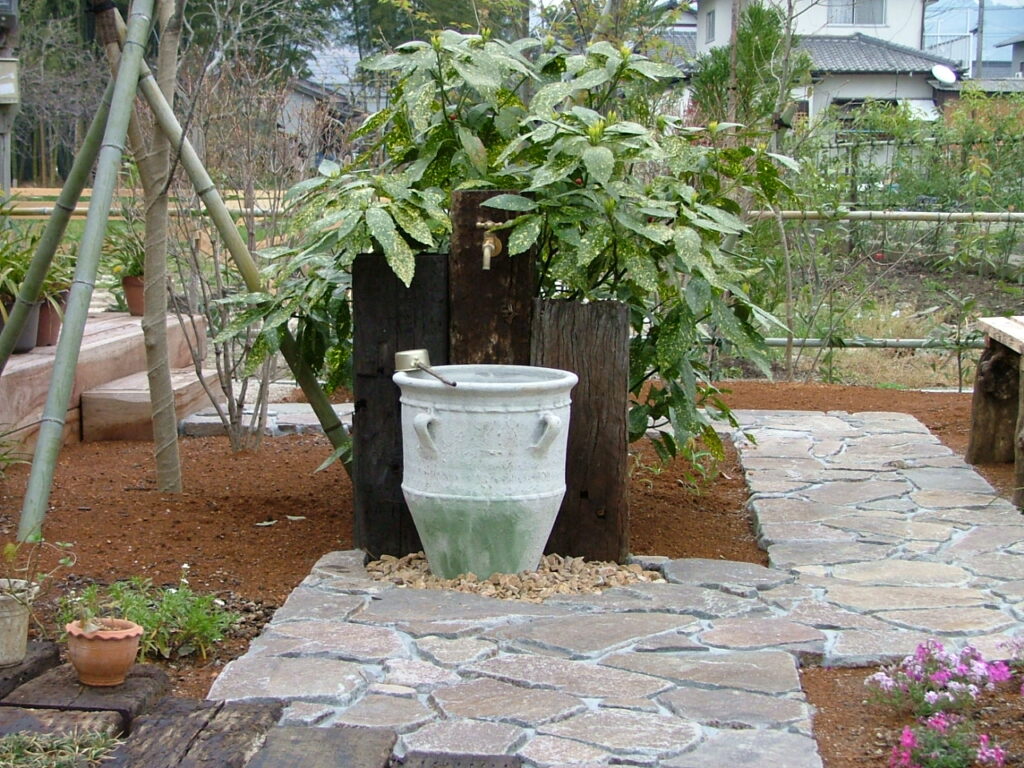 dscf0024